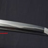 tachi15